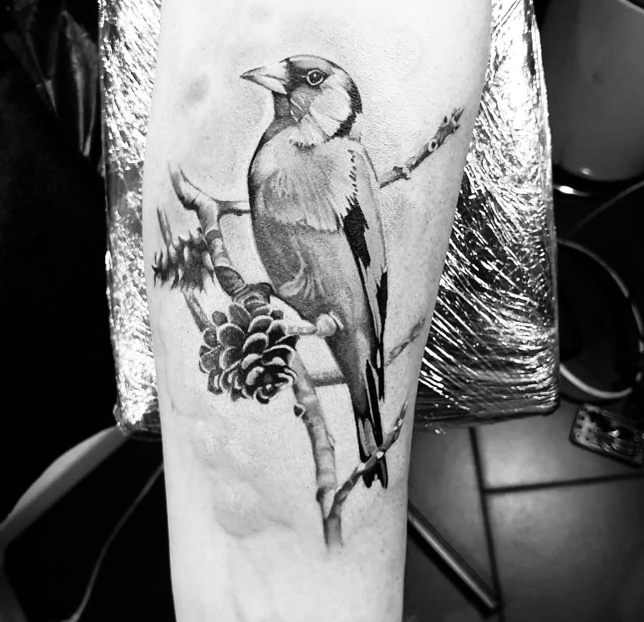 Realistischer Vogel auf Ast mit Tannenzapfen, schwarz-grau